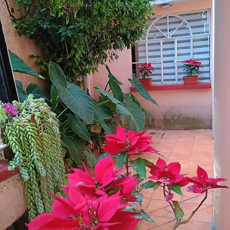 Relax Apartment